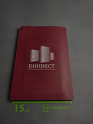 Брянск. Путешествие в глубину веков. Альбом-путеводитель
