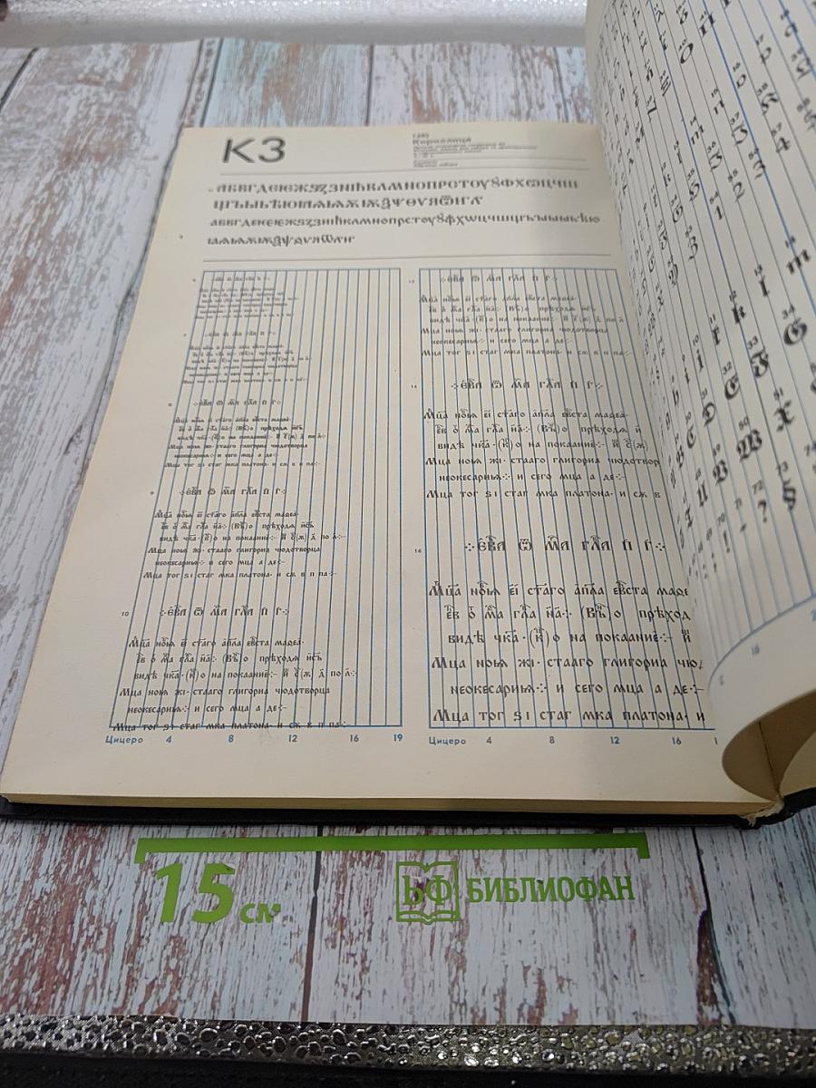 Фотонаборные шрифты: Каталог-справочник