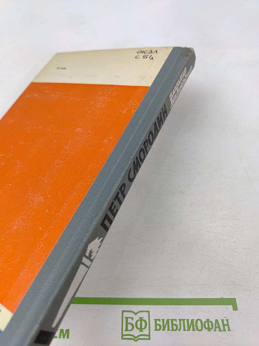 Петр Смородин