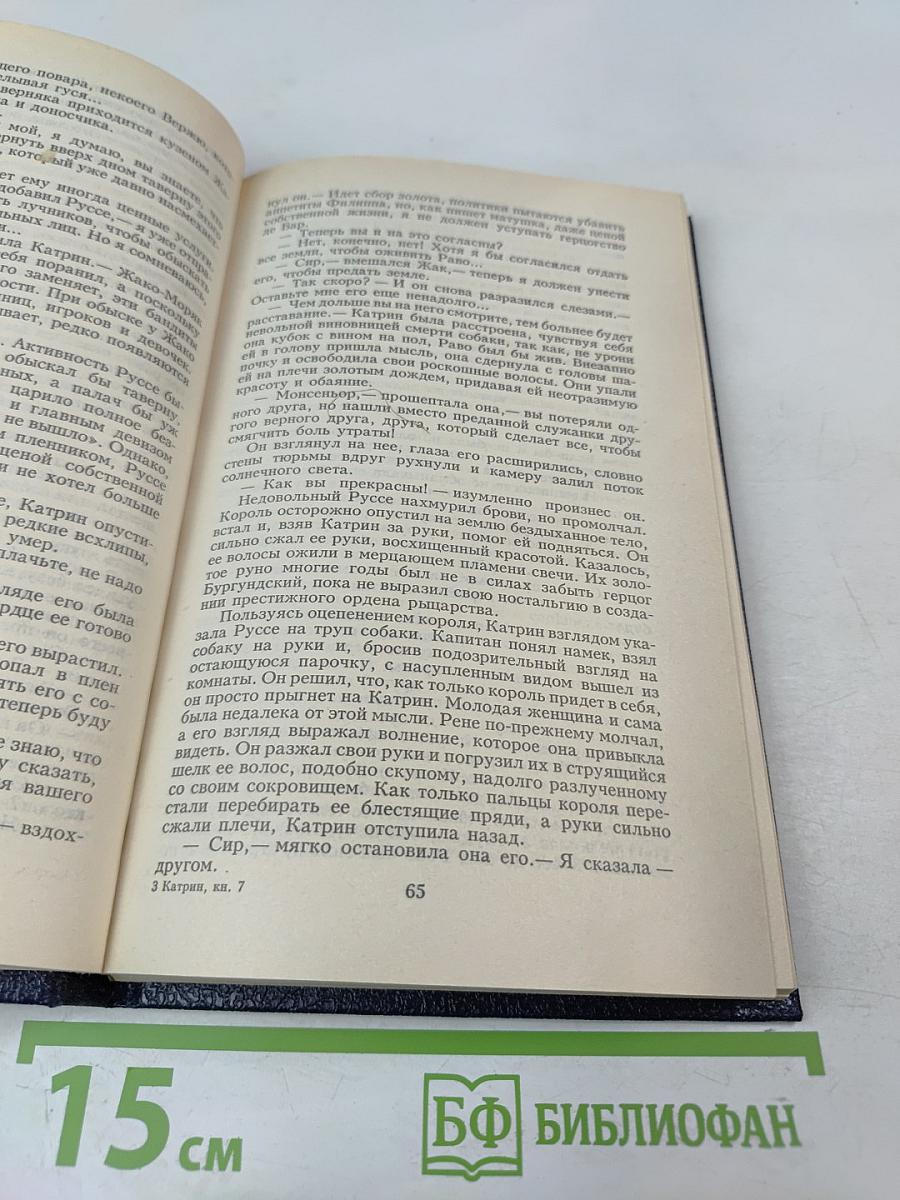 Катрин. Книга 7. Мера любви