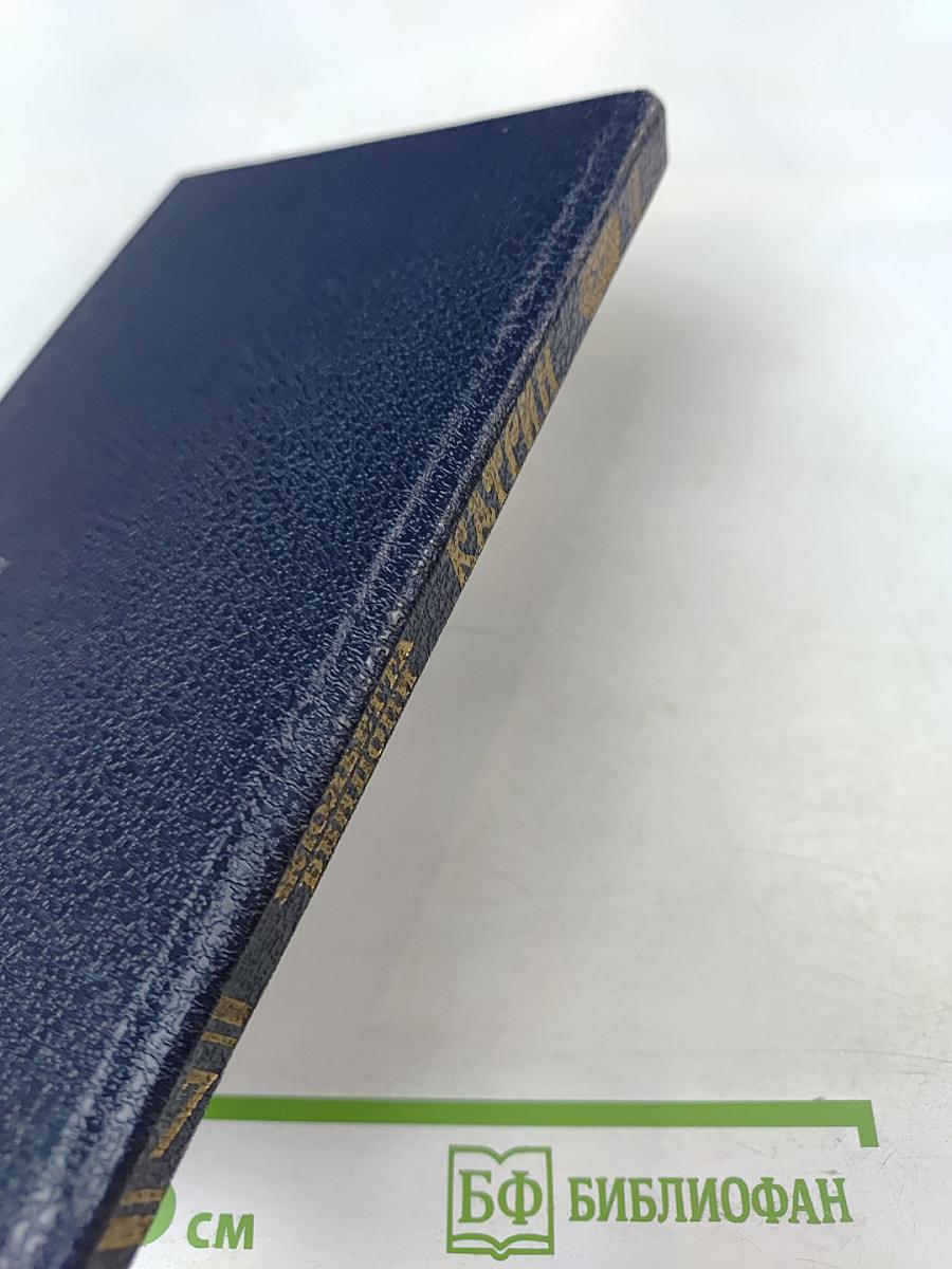 Катрин. Книга 7. Мера любви