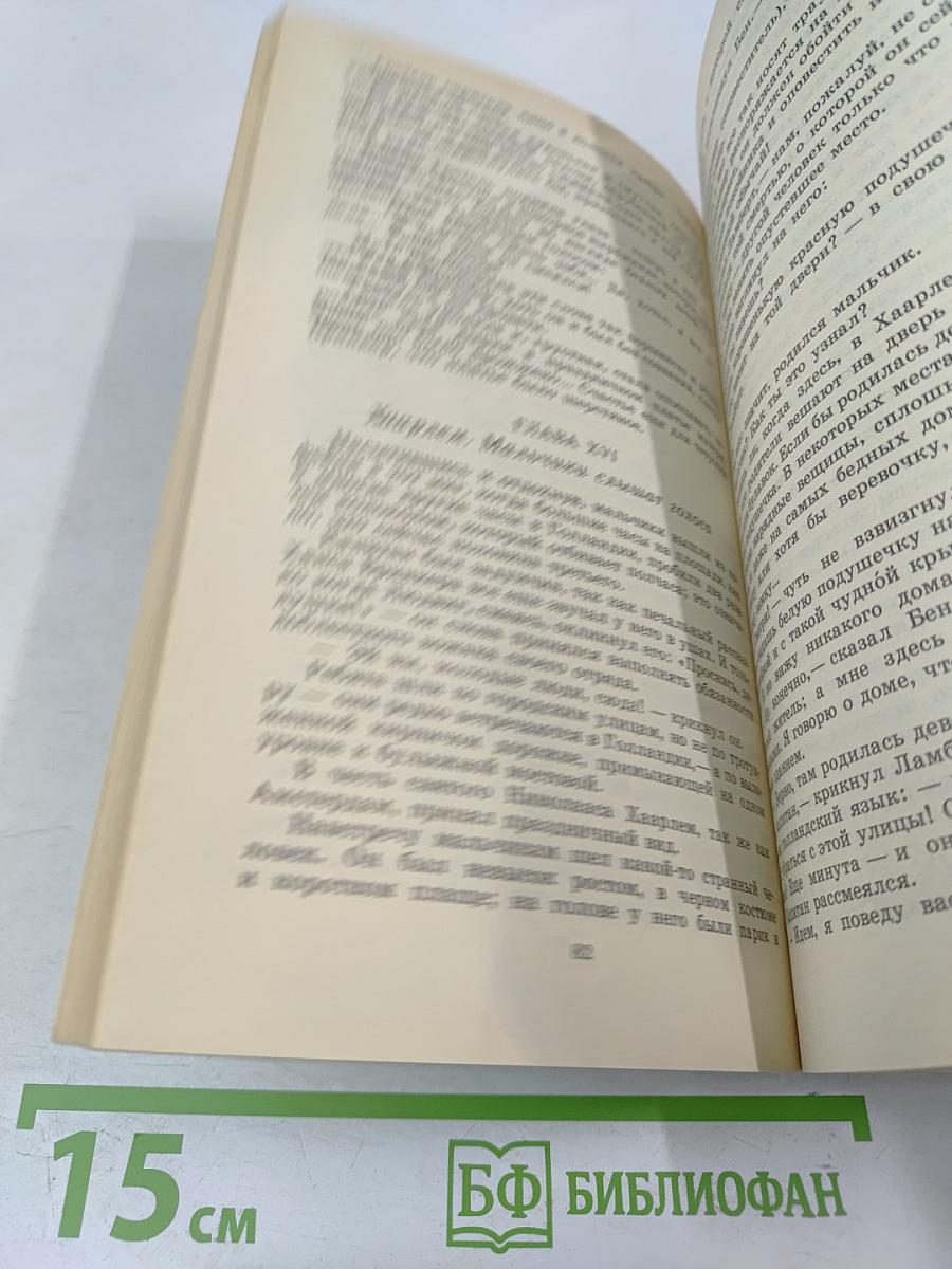 Серебряные коньки