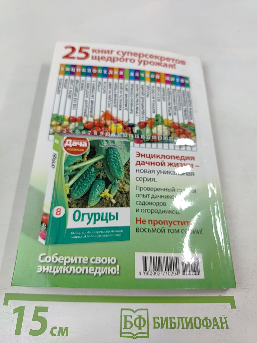 Домашние Заготовки. Книга вторая. Фрукты и ягоды