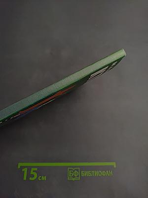 Кто кого? И другие вопросы автомобилистов и пешеходов