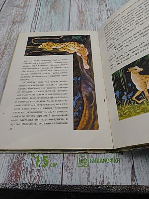 Приключения Аиста