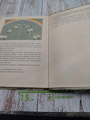 Приключения Аиста