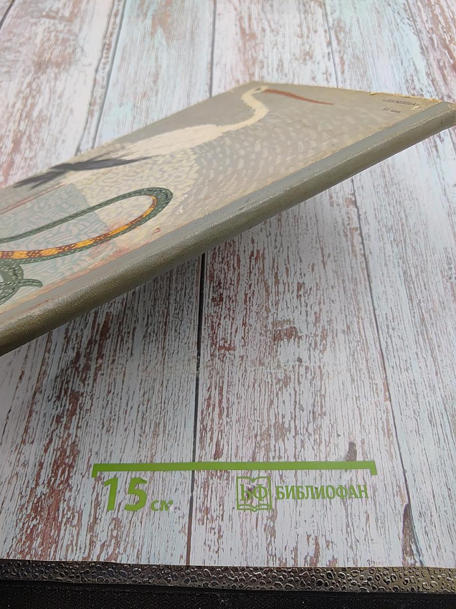 Приключения Аиста