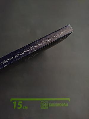 Сборник учебных кейсов: Опыт российских компаний (Северо-Западный регион)