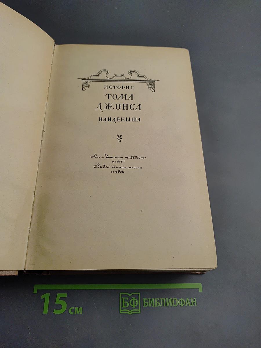 История Тома Джонса Найденыша