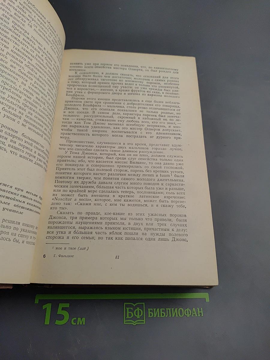 История Тома Джонса Найденыша