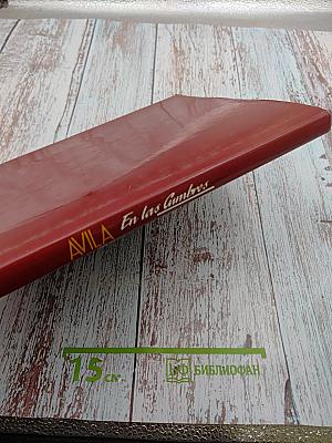 AVILA En las Cumbres