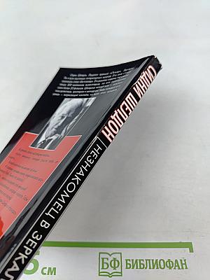 Незнакомец в зеркале