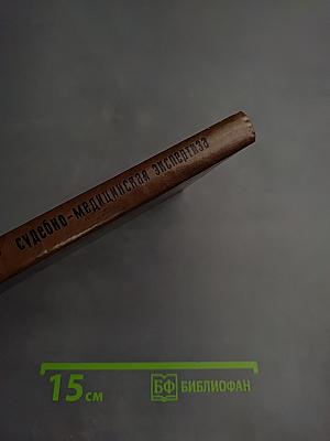 Судебно-медицинская экспертиза при дорожно-транспортных происшествиях