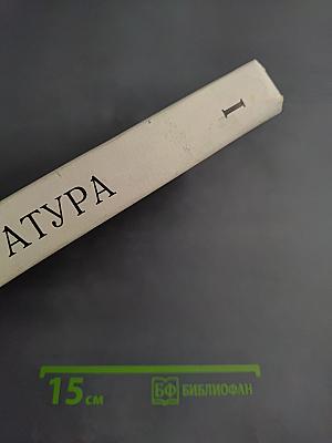 Сквозь даль времен. Учебник по литературе второй половины XIX века. Для 10 класса. Часть первая