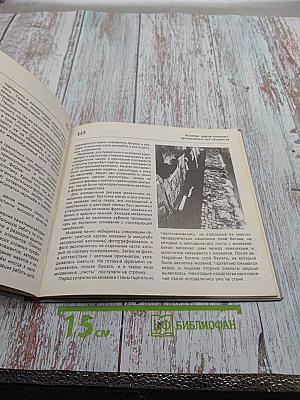 Памятник советскому Воину-освободителю в Трептов-парке. Прошлое и настоящее памятника-кладбища в Берлине