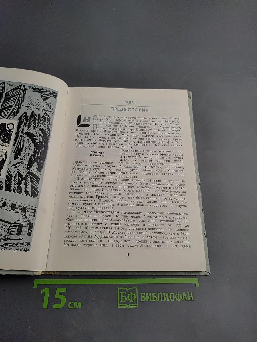 Мончегорск