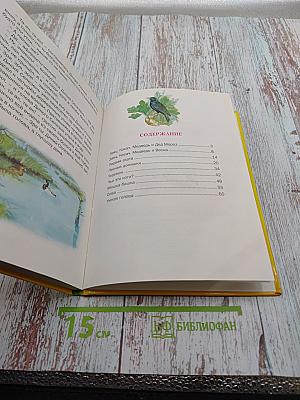 Лесные домишки