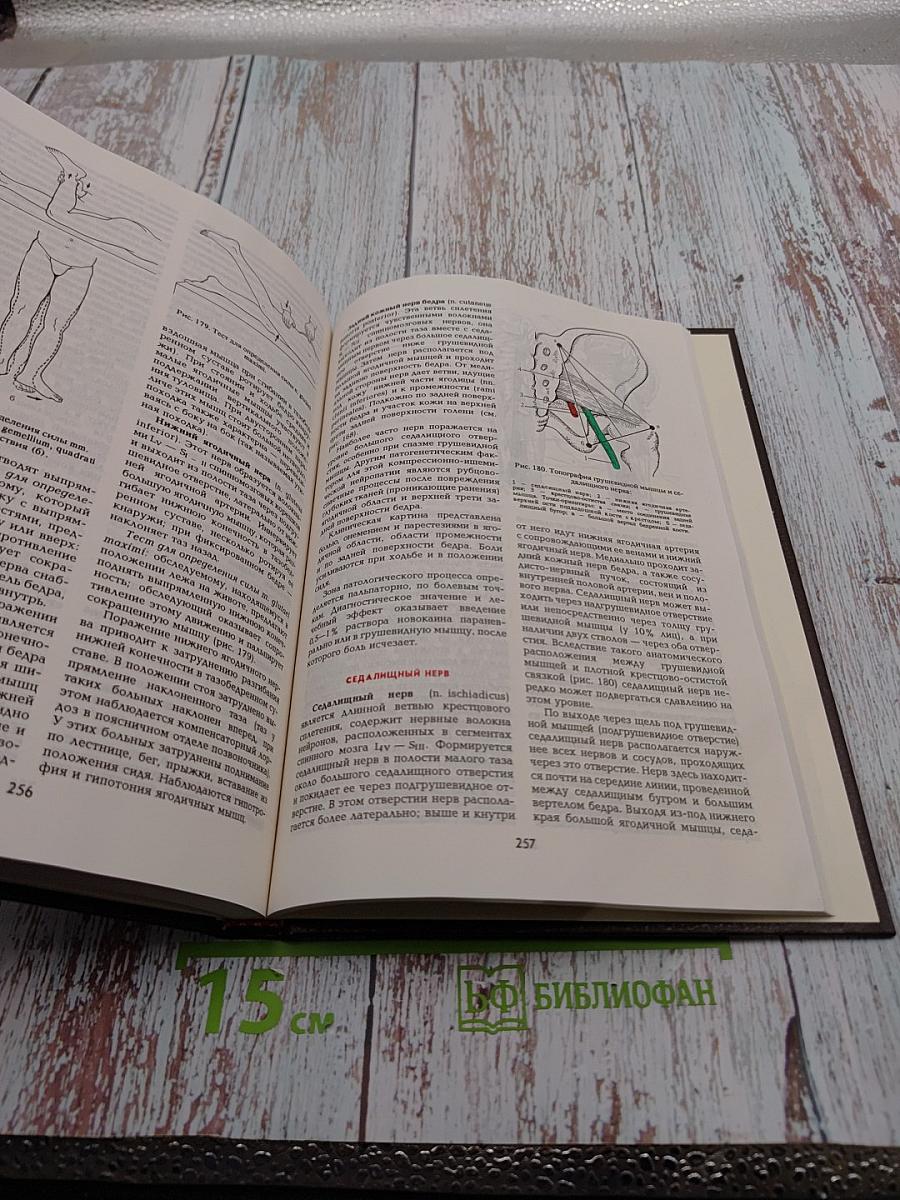 Топическая диагностика заболеваний нервной системы