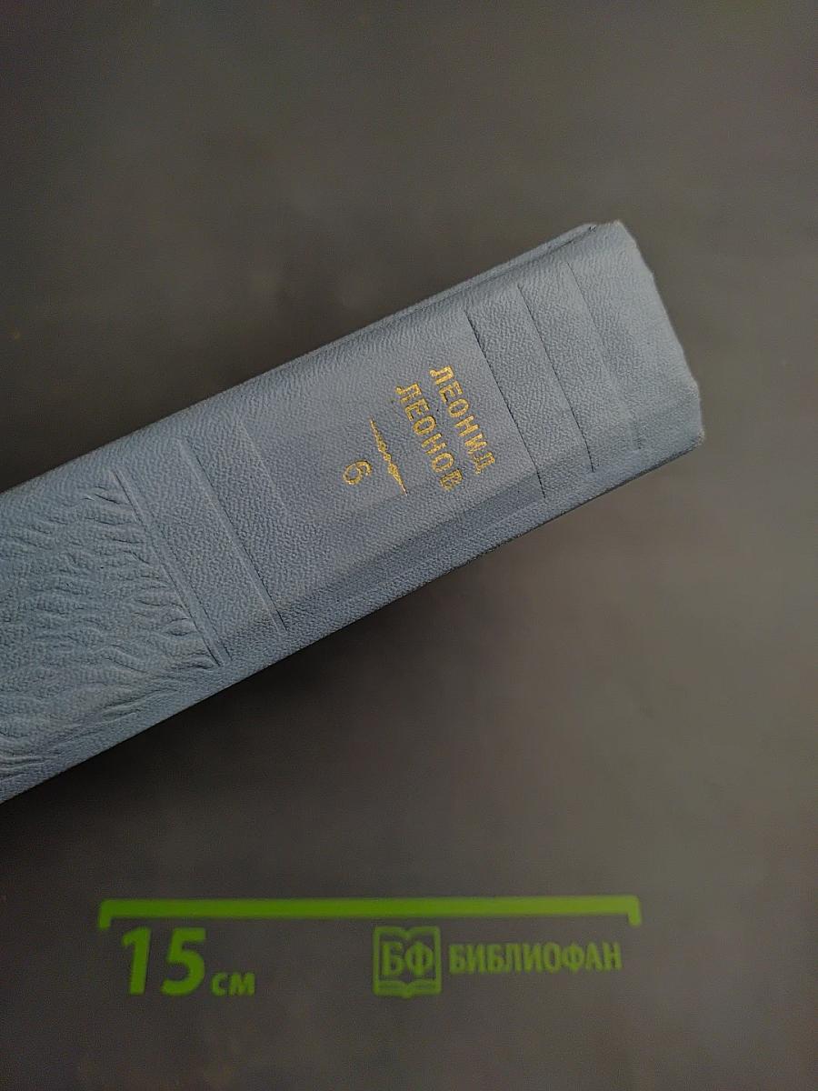 Русский лес. Собрание сочинений в пяти томах. Том шестой (дополнительный)