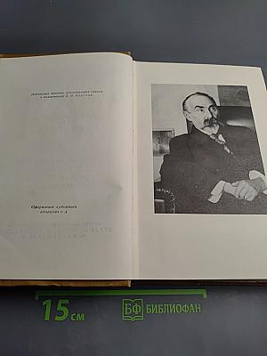 Литература и эстетика. Том первый. Теория искусства и история эстетической мысли