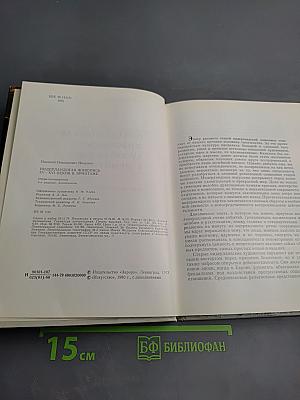 Нидерландская живопись XV-XVI веков в Эрмитаже