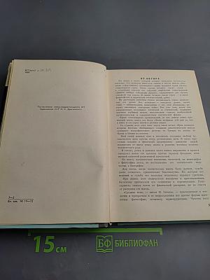 Джалалиддин Руми