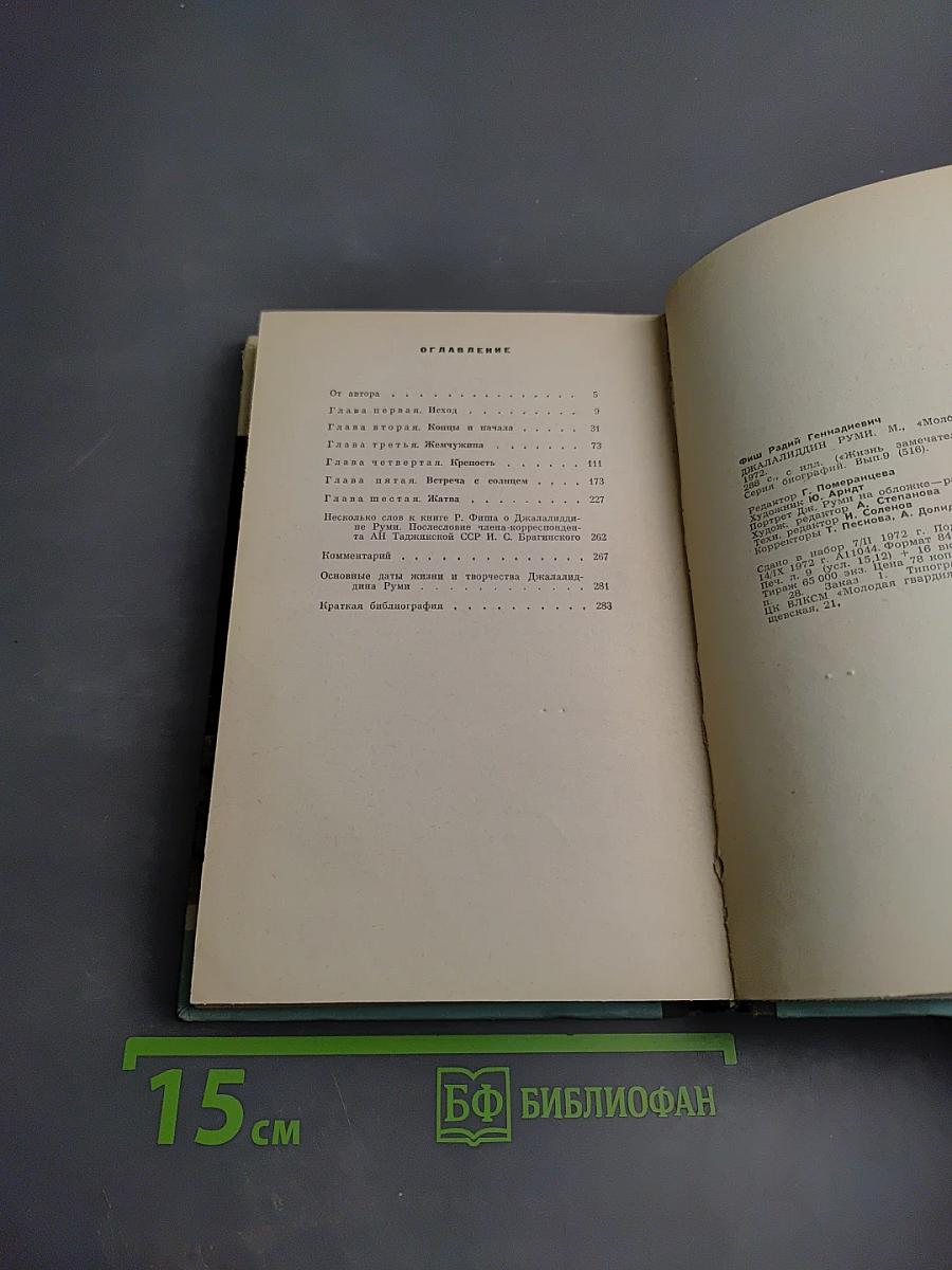 Джалалиддин Руми