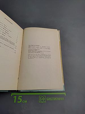 Джалалиддин Руми