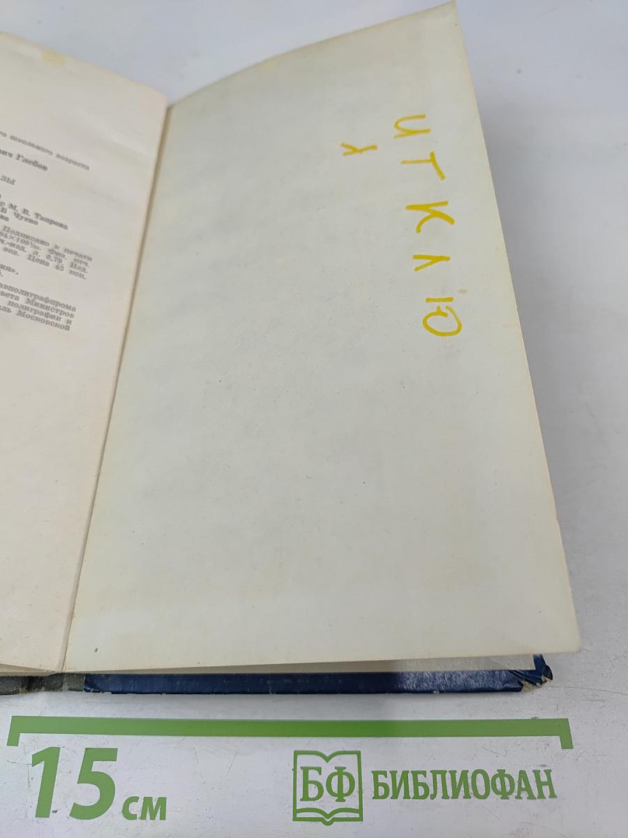 За журавлями. Повести и рассказы