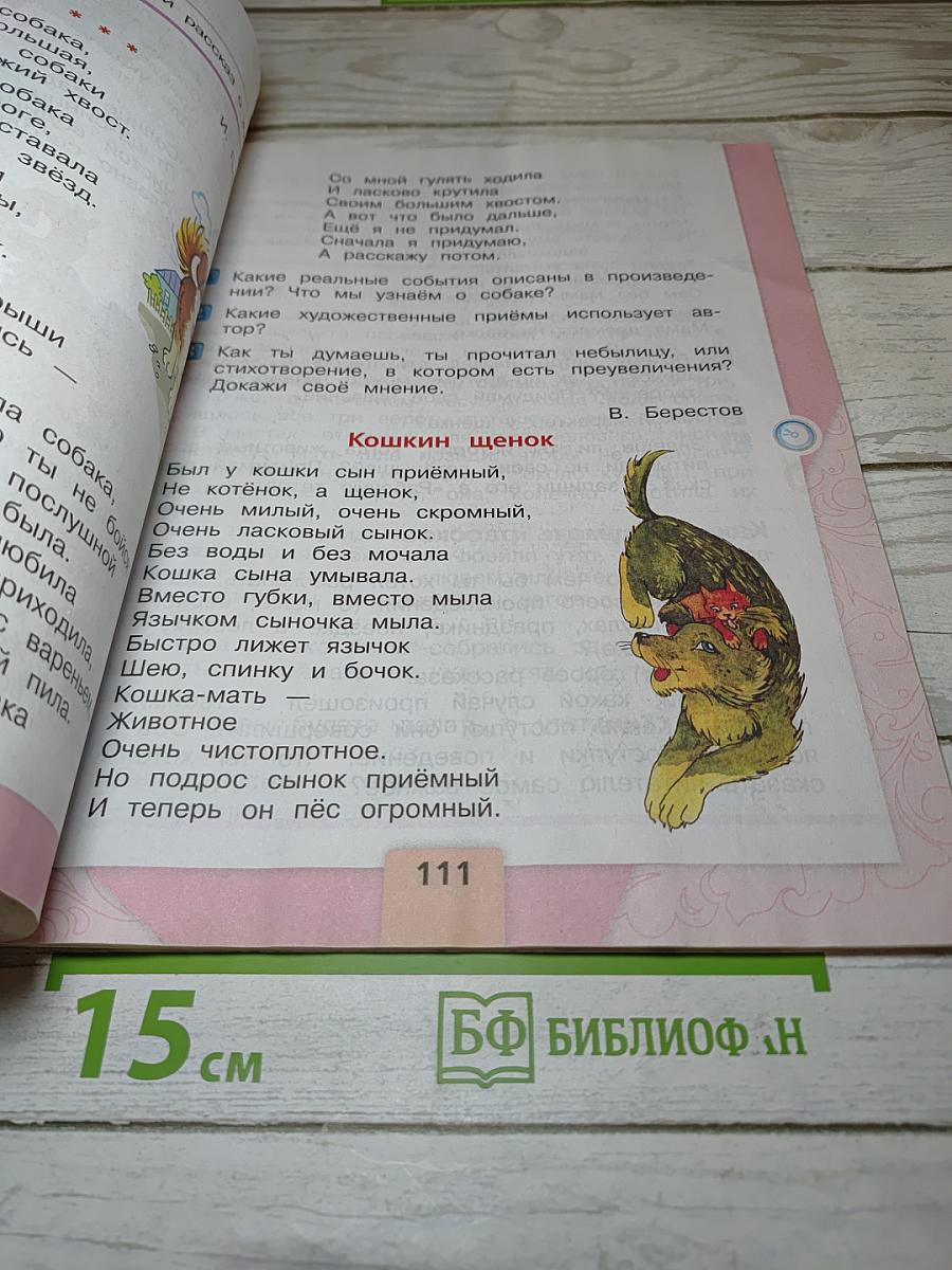 Литературное чтение. 2 класс. Часть 1