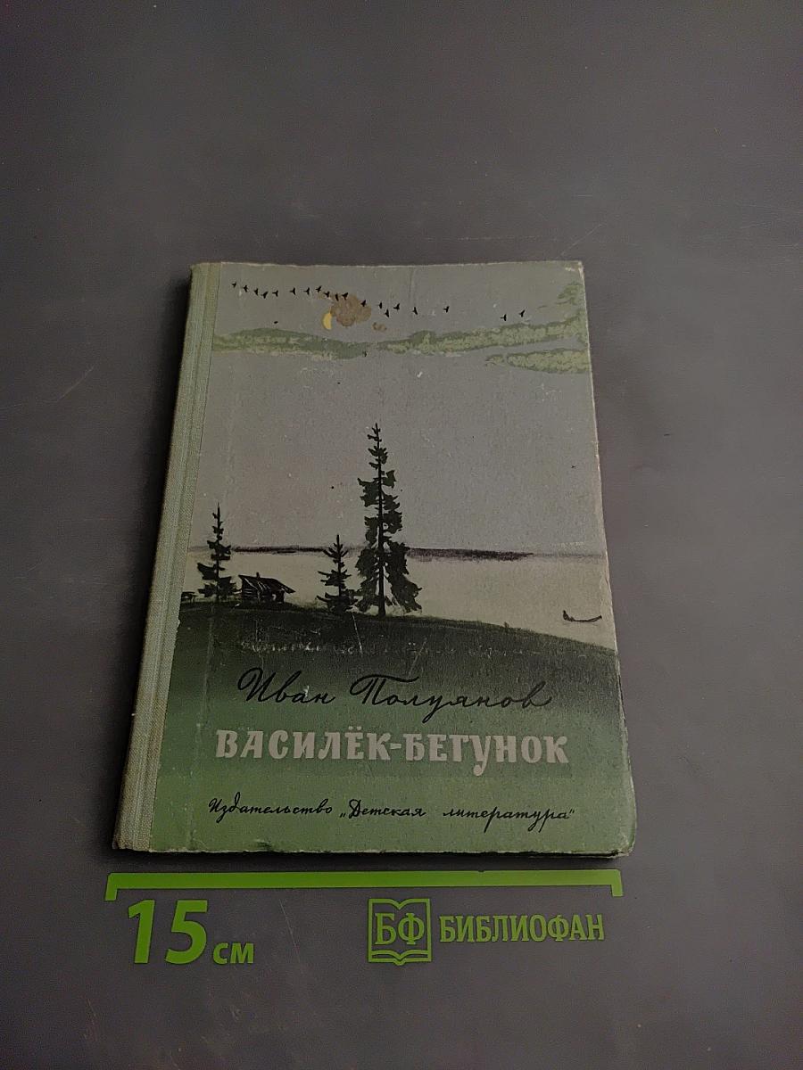 Василёк-бегунок