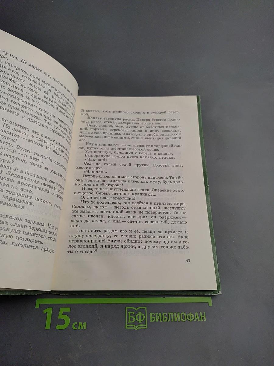 Василёк-бегунок