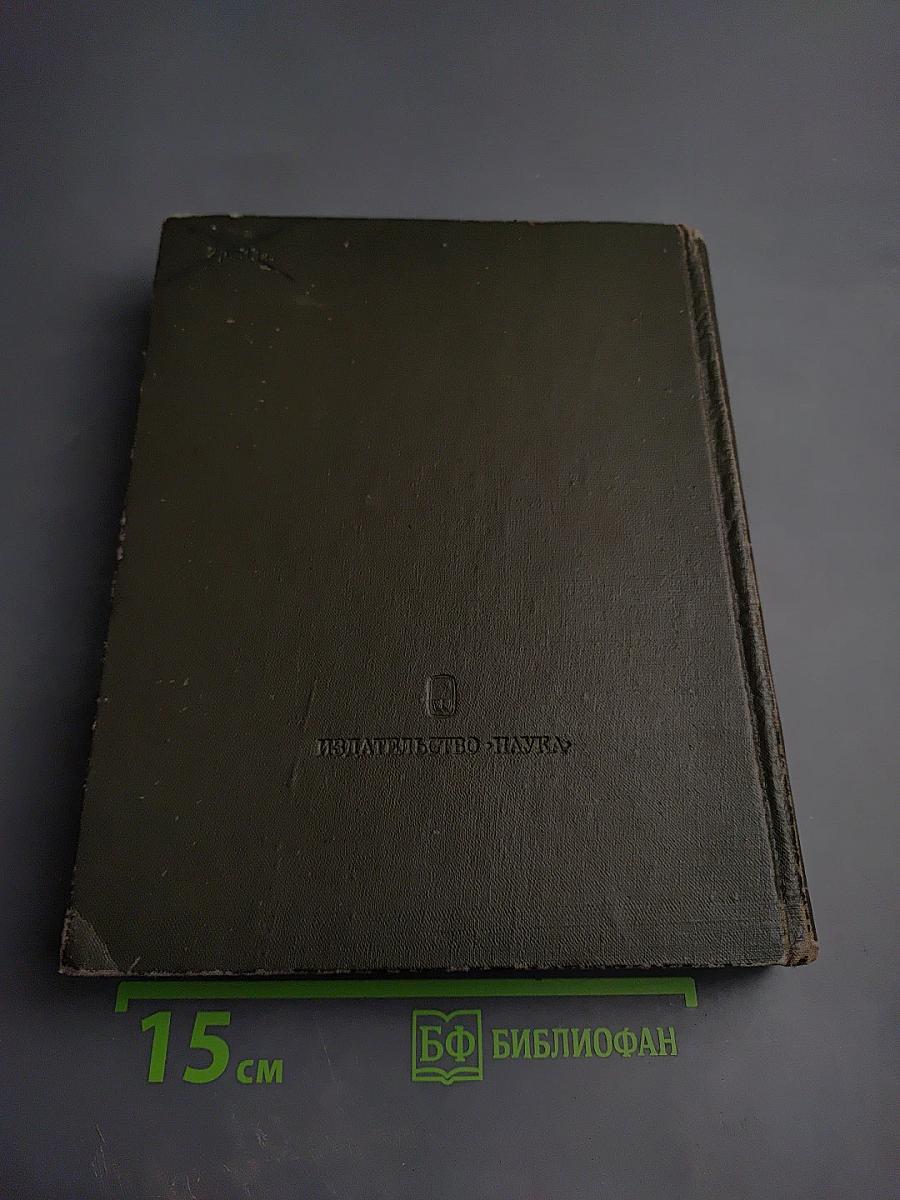 Добрыня Никитич и Алеша Попович