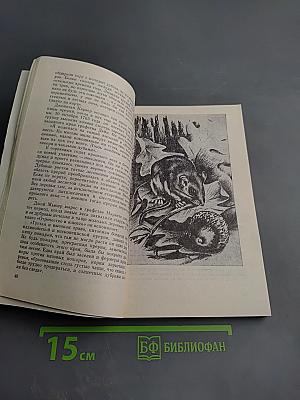 Календарь песчаного графства