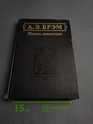 Жизнь животных. Том II. Птицы