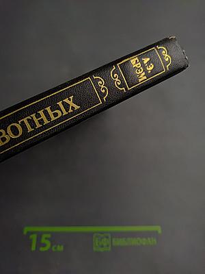 Жизнь животных. Том II. Птицы