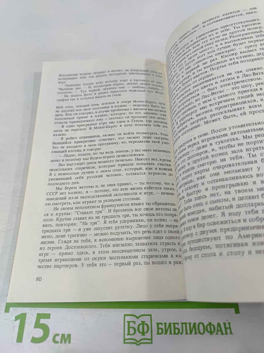 Владимир, или Прерванный полет