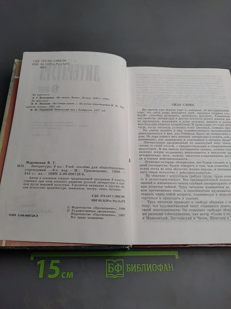 Литература 9 класс