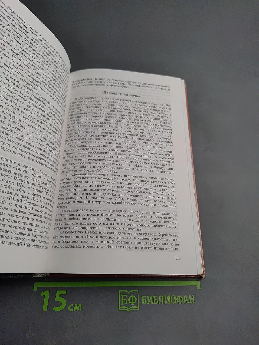 Литература 9 класс