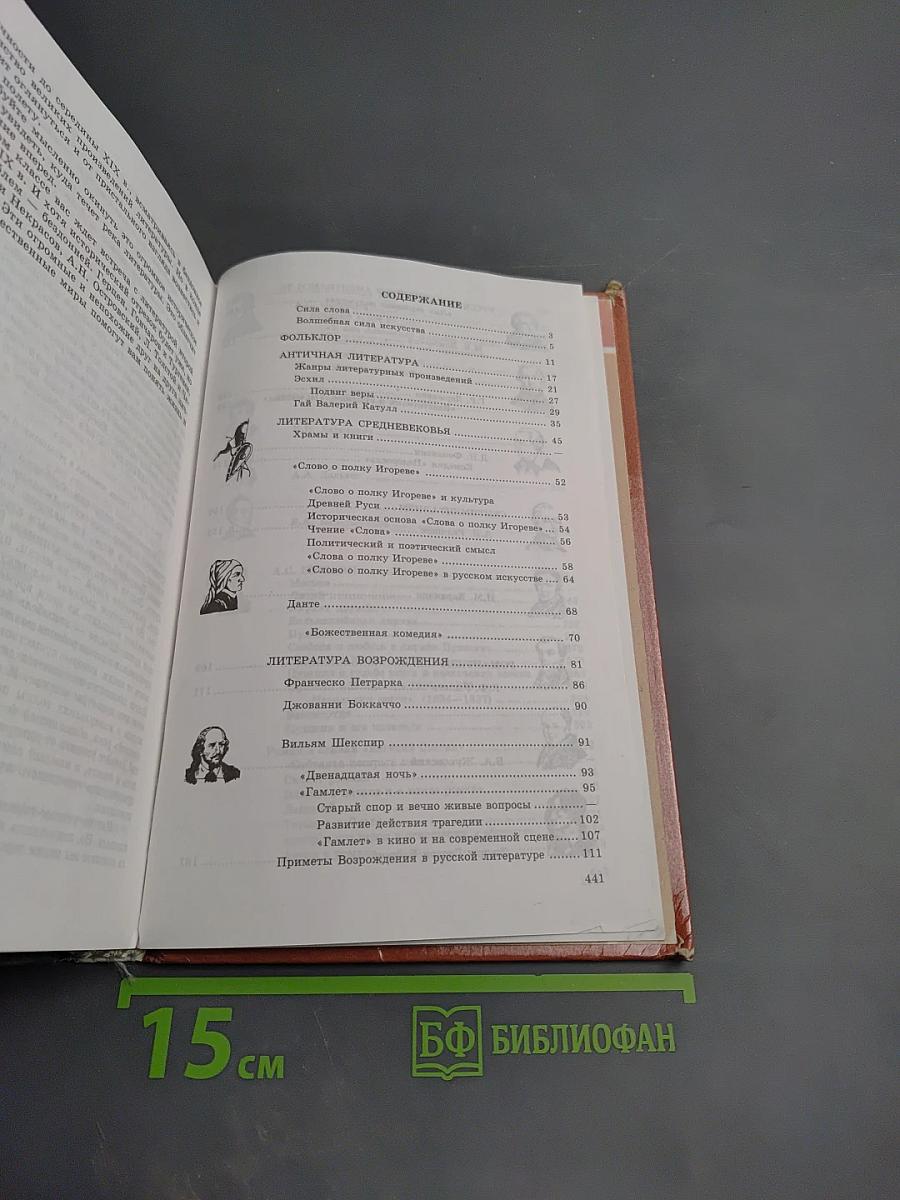 Литература 9 класс