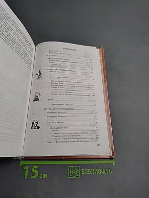 Литература 9 класс