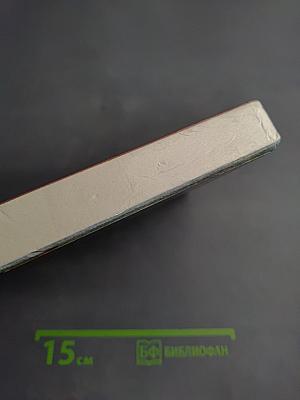 Литература 9 класс