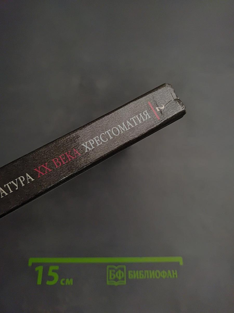 Русская литература XX века. Хрестоматия. 11 класс. Часть 2