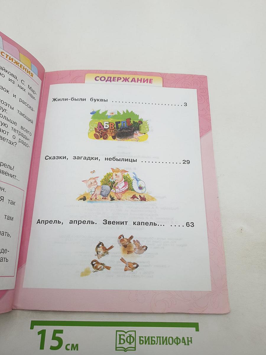 Литературное чтение. 1 класс. Часть 1