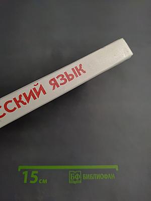 Русский язык. Грамматика. Текст. Стили речи