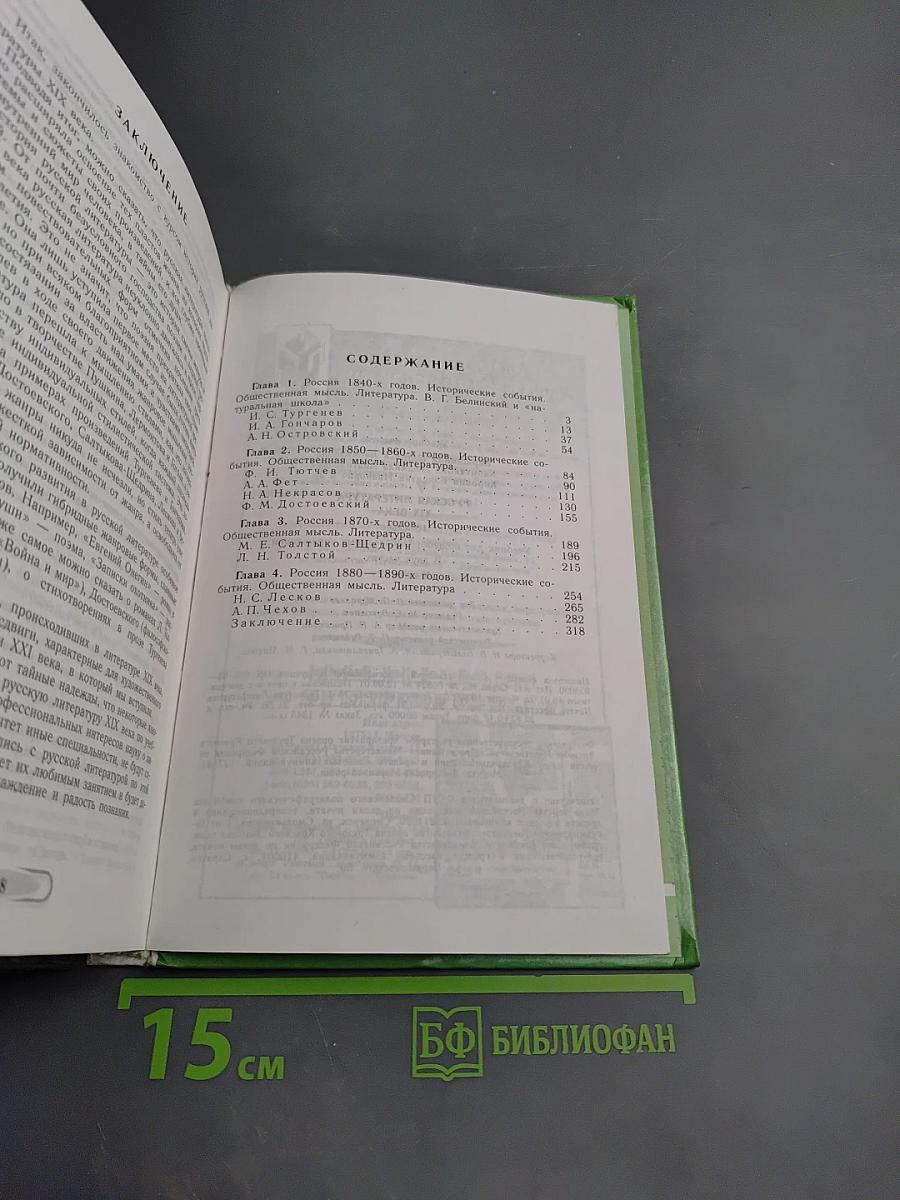 Русская литература XIX века, 10 класс, Часть 2