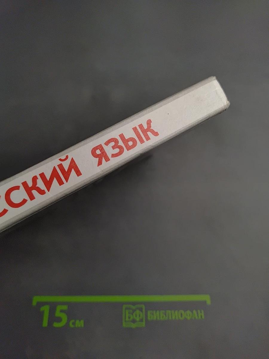 Русский язык. Грамматика. Текст. Стили речи. 10-11 классы