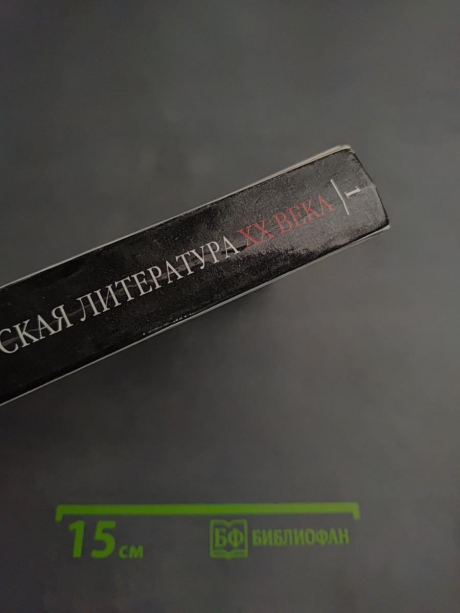 Русская литература XX века 11 класс, Часть 1