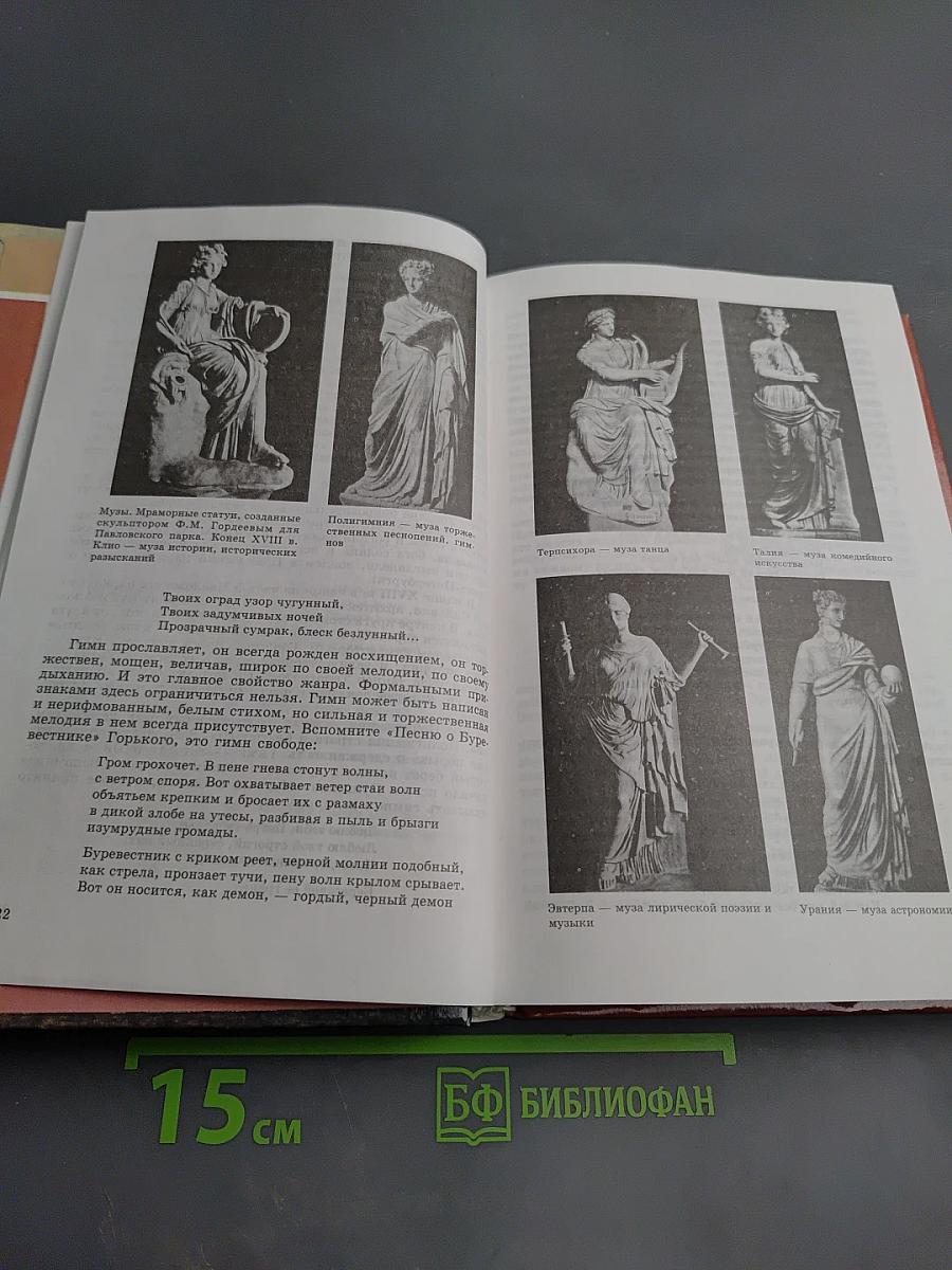 Литература 9 класс