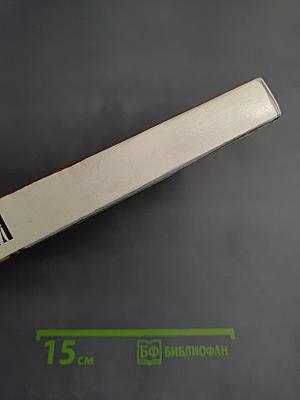 Литература 9 класс